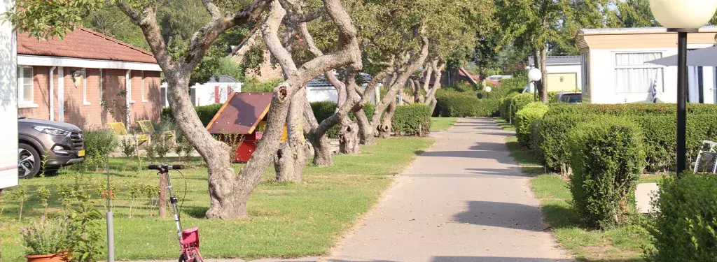 Hébergements au camping In de Bongerd aux Pays-Bas